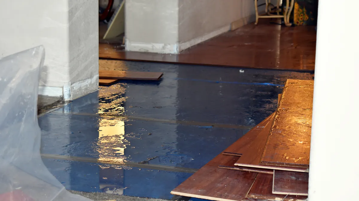 Flood & Water Damage Plumbing — professional plumber at work